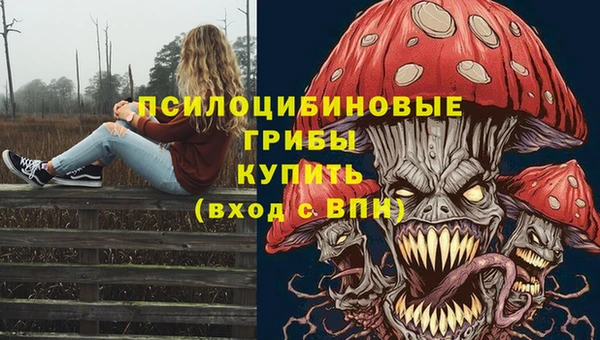 метадон Абаза