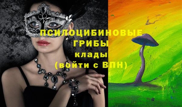 первитин Алексеевка