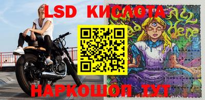 крисы Гай