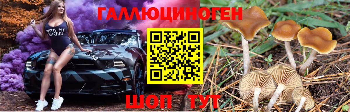 Псилоцибиновые грибы ЛСД  Вход с VPN  Галлюциногенные грибы GOLDEN TEACHER  Знаменск 