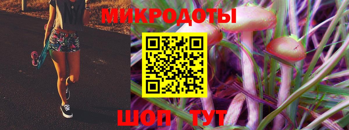 Псилоцибиновые грибы Cubensis Знаменск