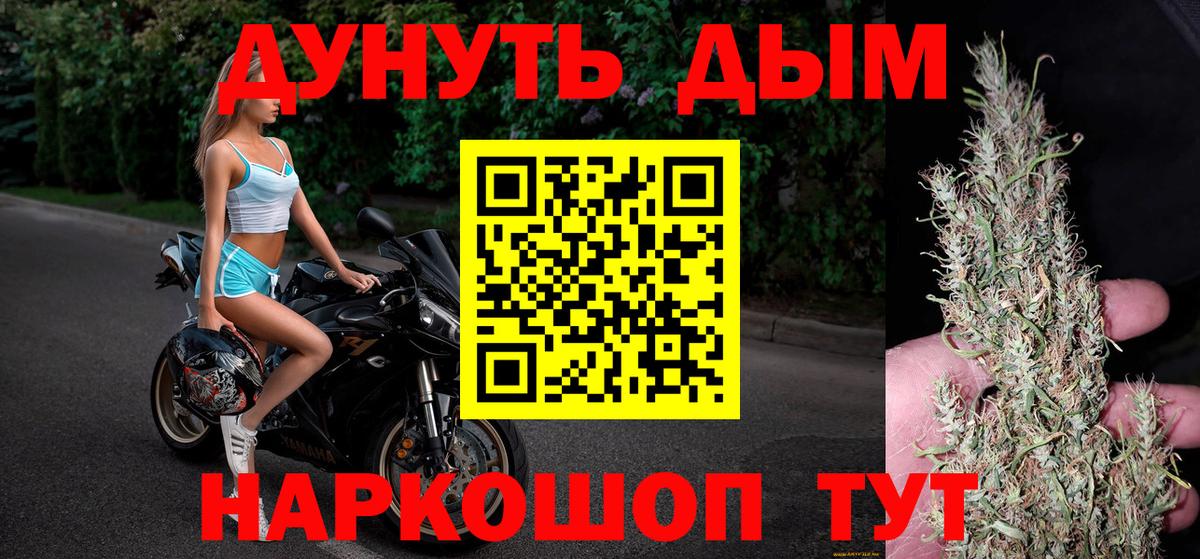Каннабис сатива Знаменск